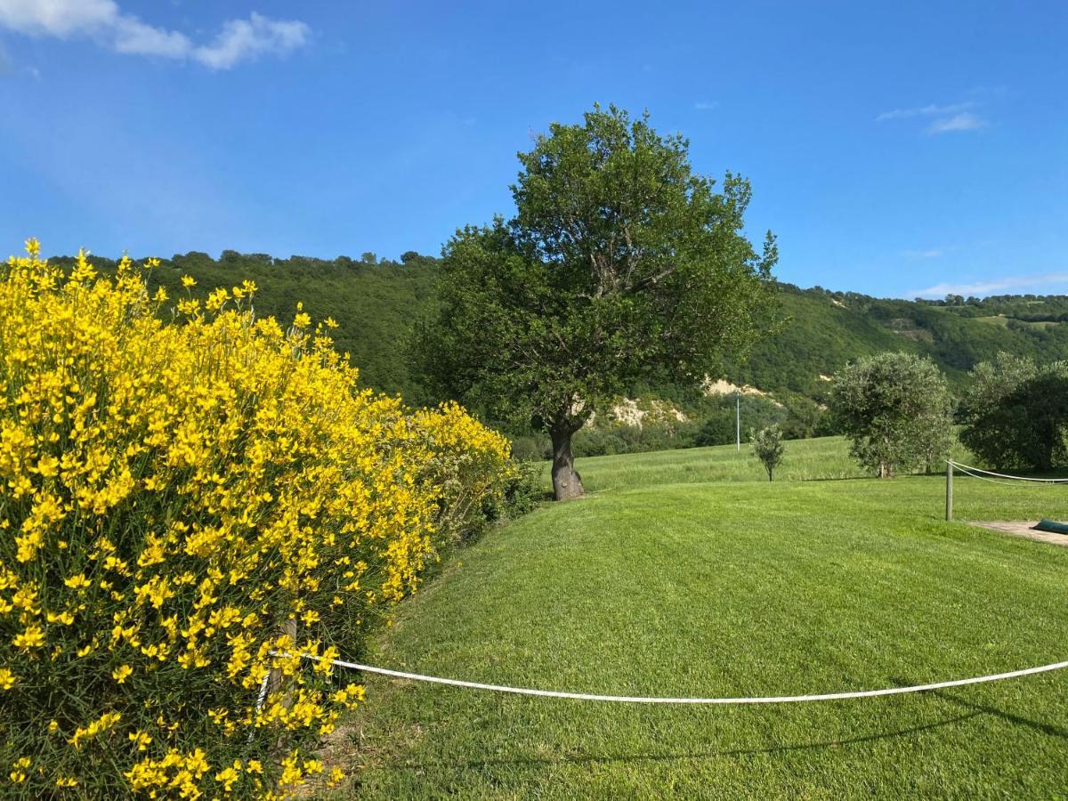 Amico Country House Serra San Quirico Exterior photo