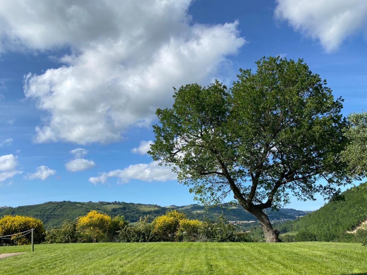Amico Country House Serra San Quirico Exterior photo